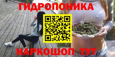 спиды Дубна