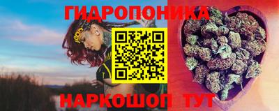 спиды Дубна