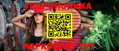 спиды Дубна