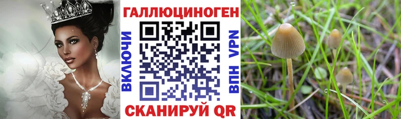 наркотики  Нефтекамск  Галлюциногенные грибы Cubensis 