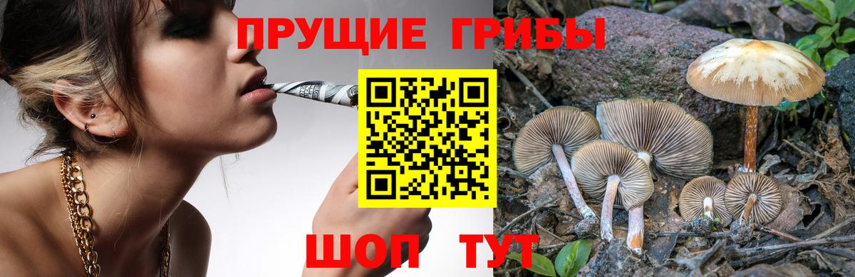 Нефтекамск  Псилоцибиновые грибы ЛСД  Вход с VPN 